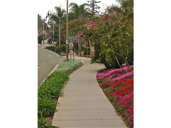 Leucadia Blvd.