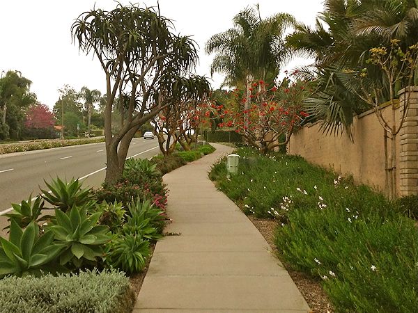 Leucadia Blvd.
