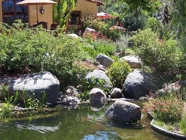 Acacias, Rancho Santa Fe