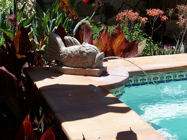 Acacias, Rancho Santa Fe