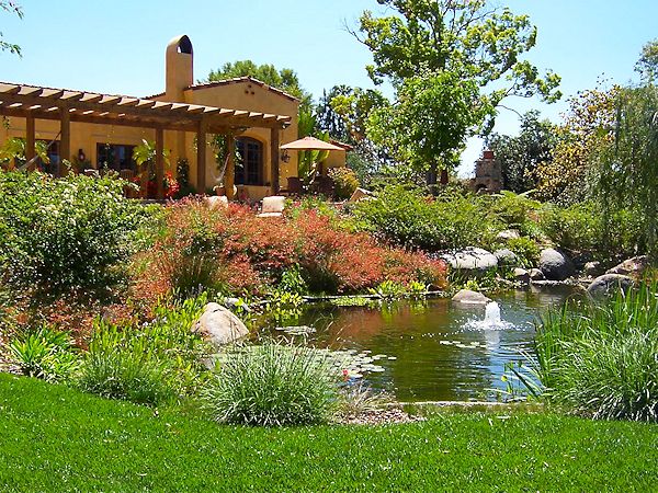 Acacias, Rancho Santa Fe