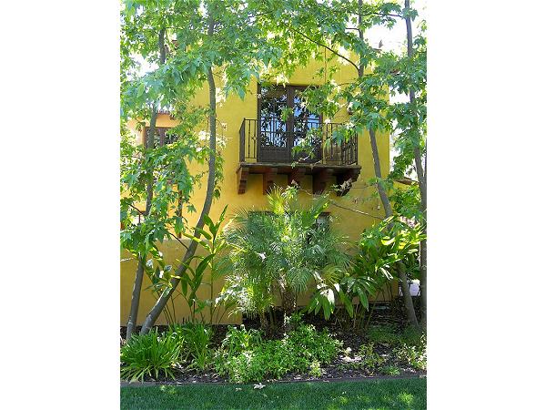 Acacias, Rancho Santa Fe