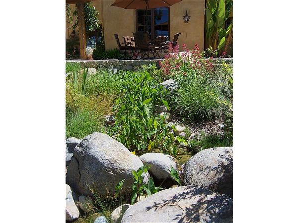 Acacias, Rancho Santa Fe